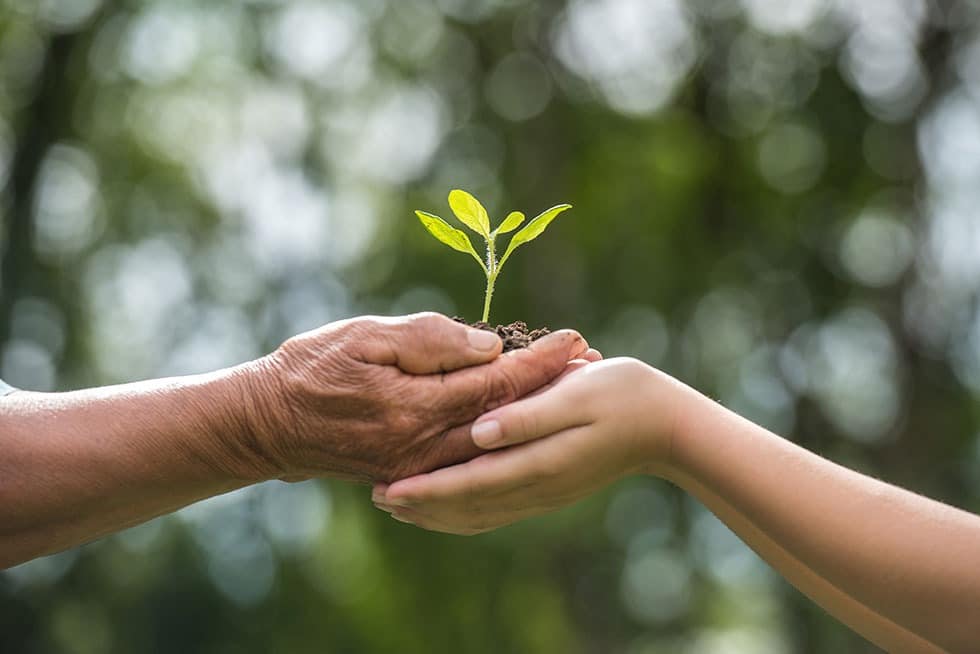 Two hands holding plant - Family Church Jamestown, bible based church Two hands holding plant - Family Church Jamestown, bible based church